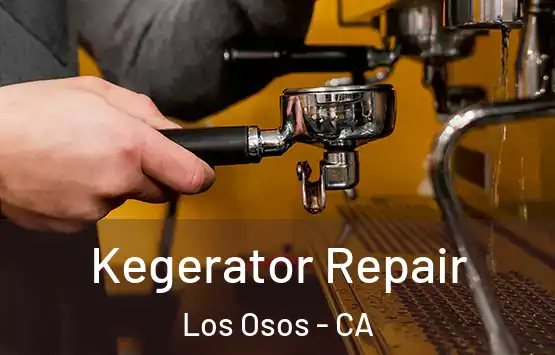  Kegerator Repair Los Osos - CA