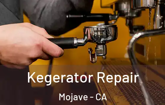 Kegerator Repair Mojave - CA