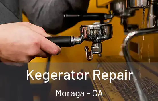  Kegerator Repair Moraga - CA