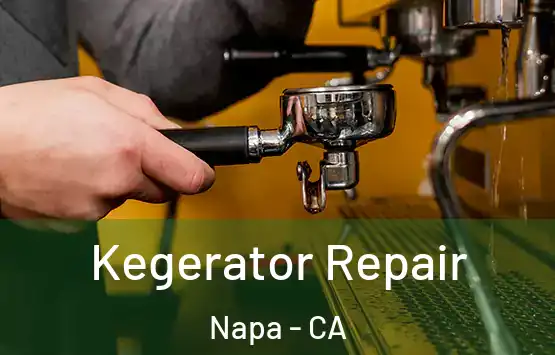  Kegerator Repair Napa - CA