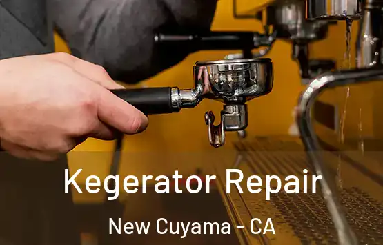  Kegerator Repair New Cuyama - CA