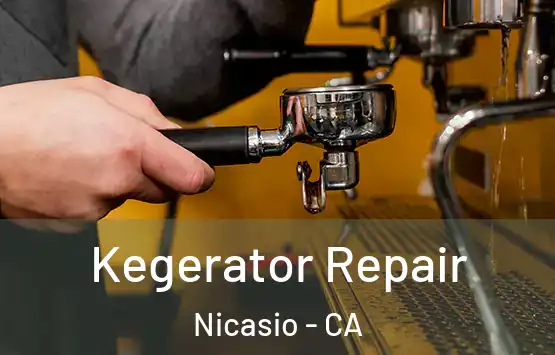  Kegerator Repair Nicasio - CA