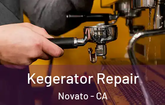  Kegerator Repair Novato - CA