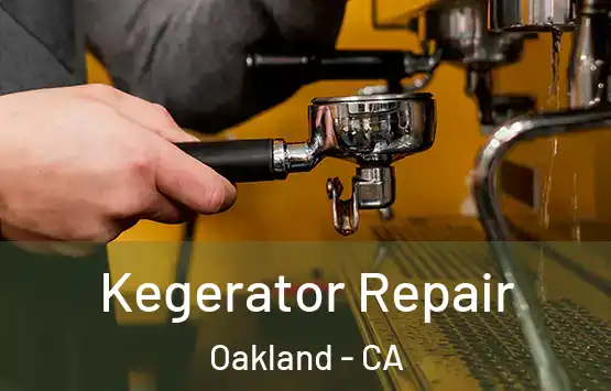  Kegerator Repair Oakland - CA