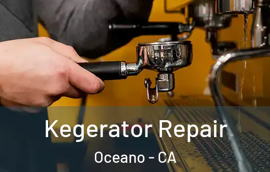 Kegerator Repair Oceano - CA