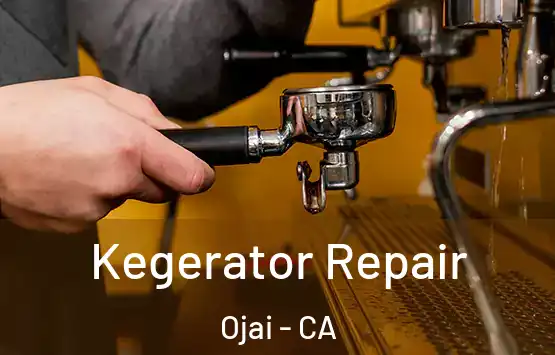  Kegerator Repair Ojai - CA