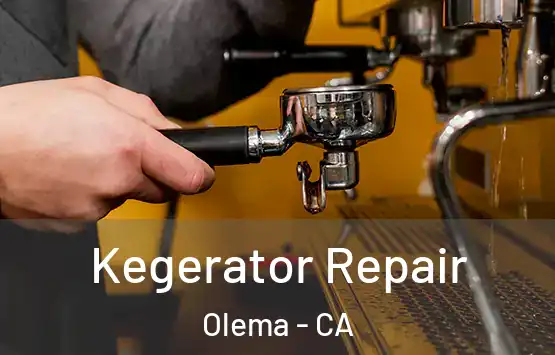  Kegerator Repair Olema - CA