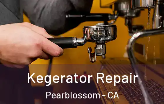  Kegerator Repair Pearblossom - CA