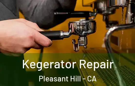  Kegerator Repair Pleasant Hill - CA