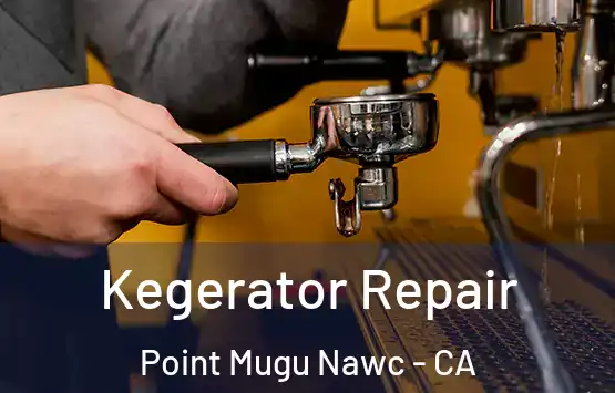  Kegerator Repair Point Mugu Nawc - CA
