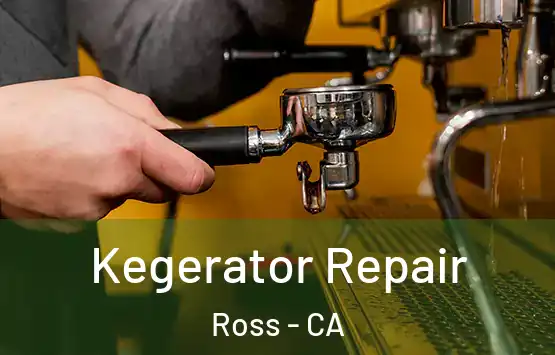  Kegerator Repair Ross - CA