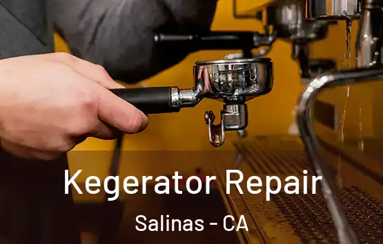  Kegerator Repair Salinas - CA