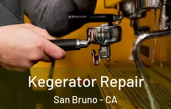  Kegerator Repair San Bruno - CA