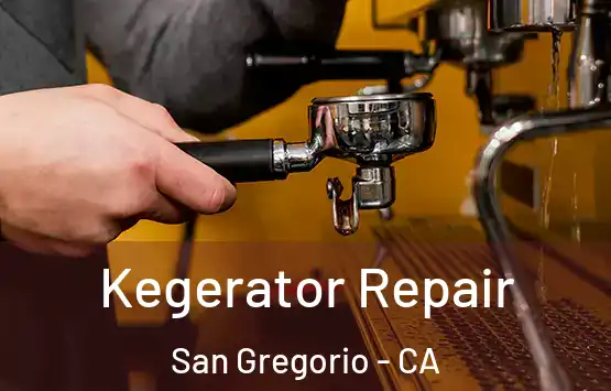  Kegerator Repair San Gregorio - CA