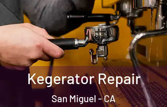  Kegerator Repair San Miguel - CA