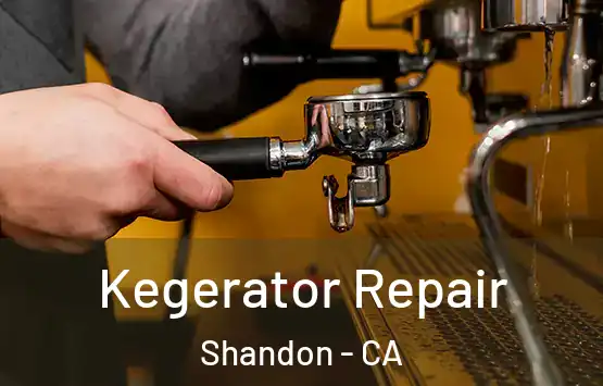  Kegerator Repair Shandon - CA