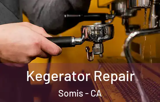  Kegerator Repair Somis - CA