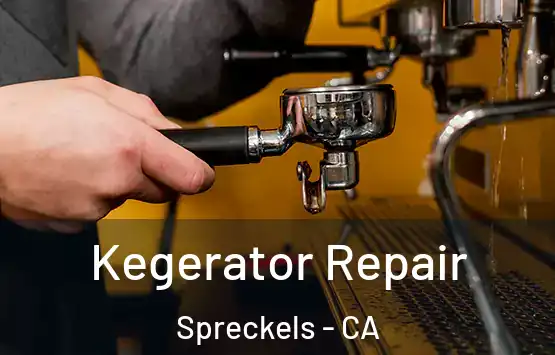  Kegerator Repair Spreckels - CA