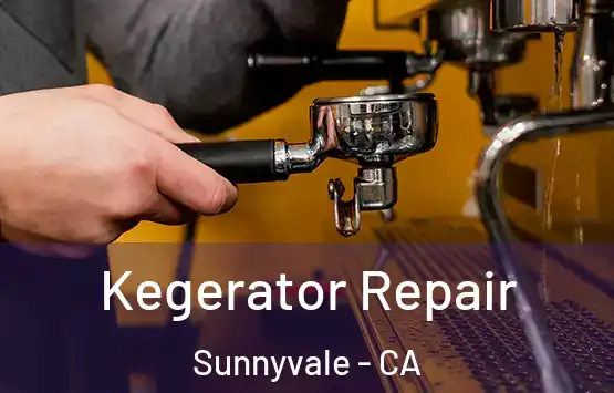  Kegerator Repair Sunnyvale - CA