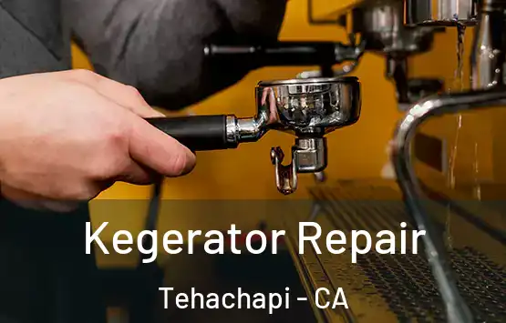  Kegerator Repair Tehachapi - CA