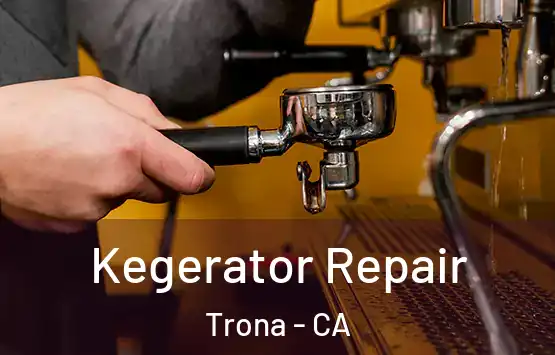  Kegerator Repair Trona - CA