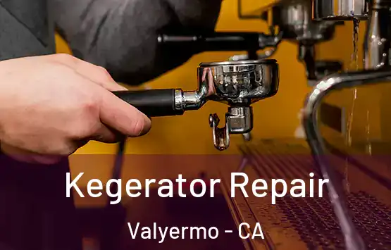  Kegerator Repair Valyermo - CA