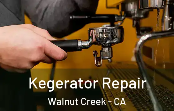 Kegerator Repair Walnut Creek - CA