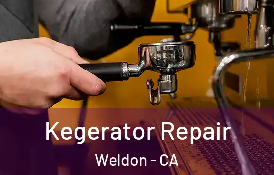  Kegerator Repair Weldon - CA