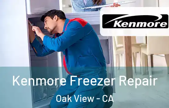  Kenmore Freezer Repair Oak View - CA