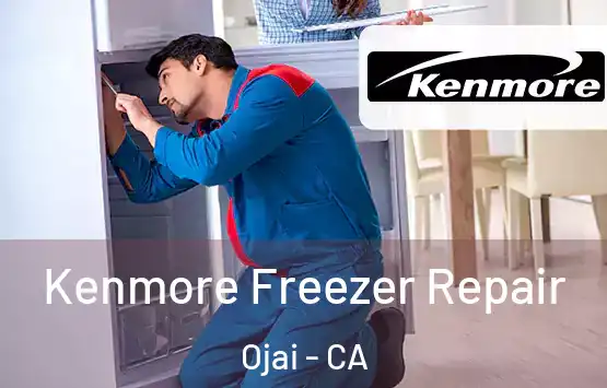  Kenmore Freezer Repair Ojai - CA