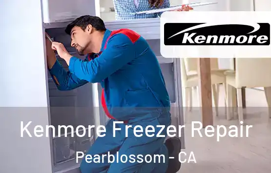 Kenmore Freezer Repair Pearblossom - CA