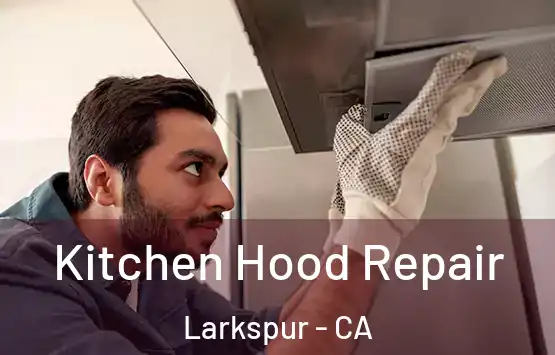  Kitchen Hood Repair Larkspur - CA