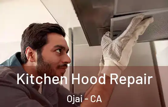  Kitchen Hood Repair Ojai - CA