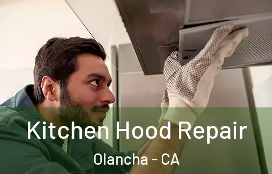  Kitchen Hood Repair Olancha - CA