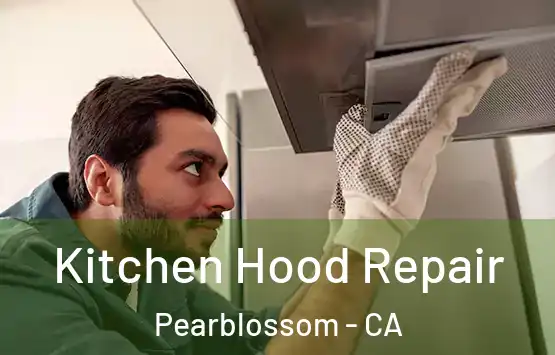  Kitchen Hood Repair Pearblossom - CA