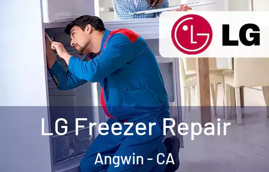  LG Freezer Repair Angwin - CA