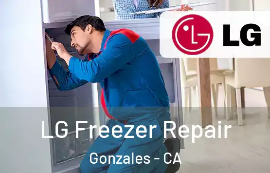  LG Freezer Repair Gonzales - CA