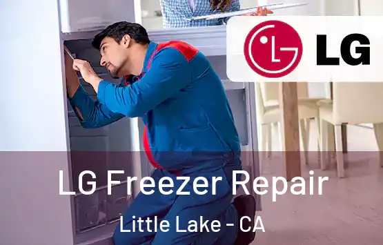  LG Freezer Repair Little Lake - CA