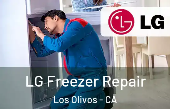  LG Freezer Repair Los Olivos - CA