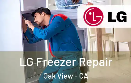  LG Freezer Repair Oak View - CA