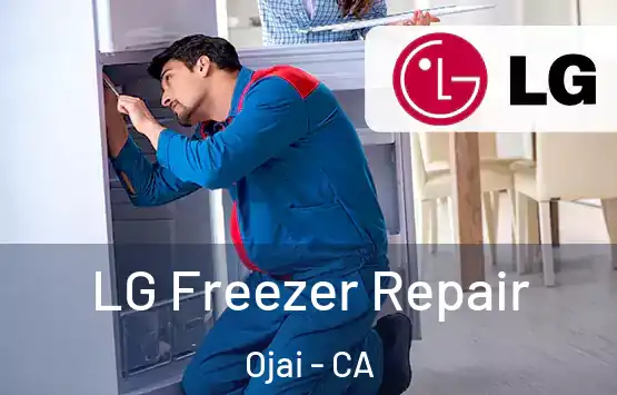  LG Freezer Repair Ojai - CA