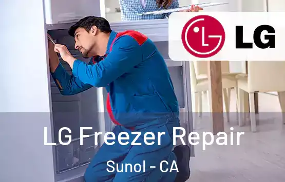  LG Freezer Repair Sunol - CA