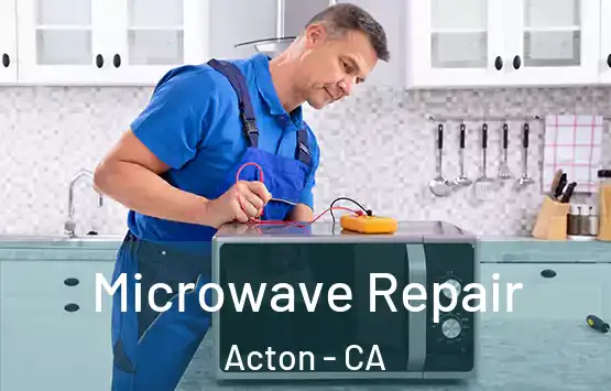  Microwave Repair Acton - CA