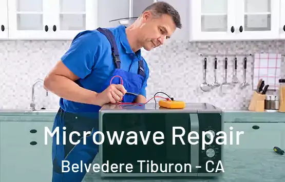  Microwave Repair Belvedere Tiburon - CA