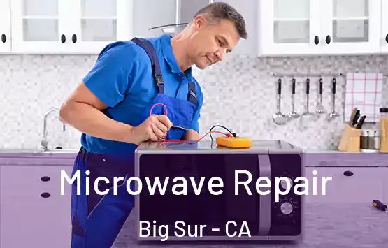  Microwave Repair Big Sur - CA