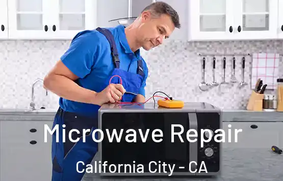 Microwave Repair California City - CA