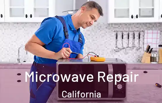 Microwave Repair California