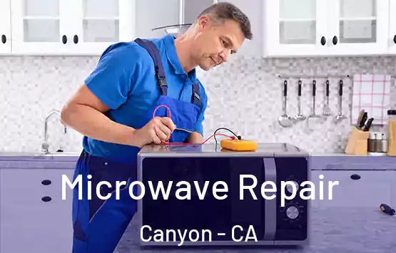  Microwave Repair Canyon - CA
