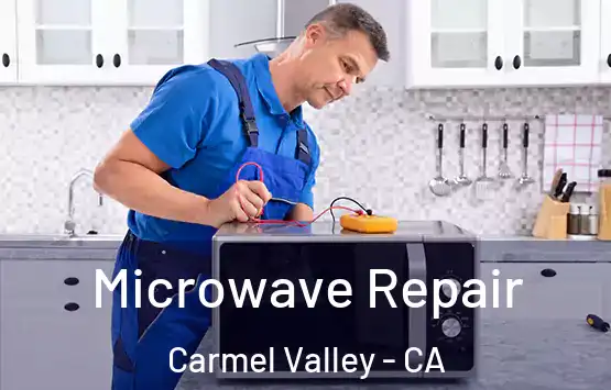  Microwave Repair Carmel Valley - CA