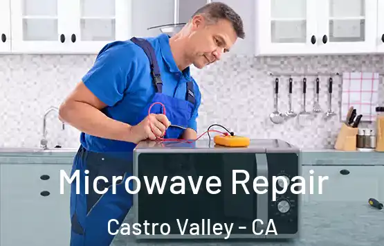  Microwave Repair Castro Valley - CA